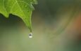 Il clima in campo: la Liguria oggi